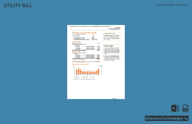 USA, New York, PSEG-Stromrechnung, Word- und PDF-Datei, 5 Seiten, Beispielvorschau